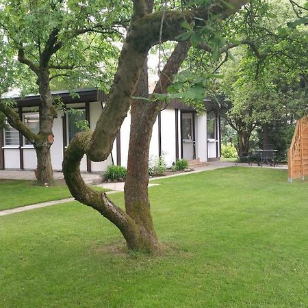 Ferienhaus Gregor 버켄워르더 외부 사진